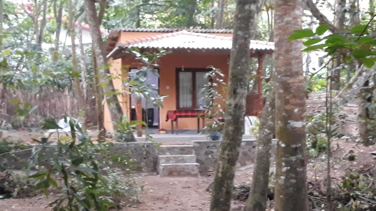 Freedom Villa Hiriketiya Діквелла Номер фото